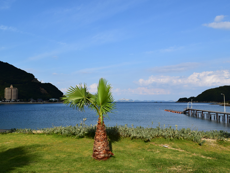 瀬戸内海の離島・香川県小豆島に観光や旅行で来たら、海沿いホテル、宿、コテージ、シータイガーアイランドイン小豆島の素泊まりプランを利用しよう