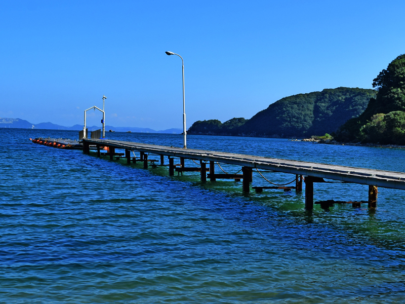 「シータイガーアイランドイン小豆島」の海が見えるコテージ「洋室5号棟」